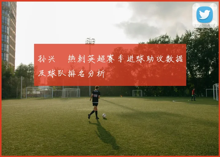 孙兴慜热刺英超赛季进球助攻数据及球队排名分析
