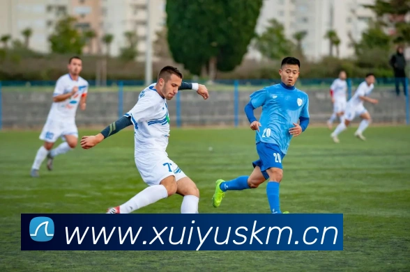 开云手机在线官网登录APP 体育赛事宣传图